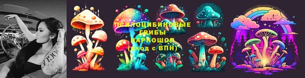 тгк Аркадак